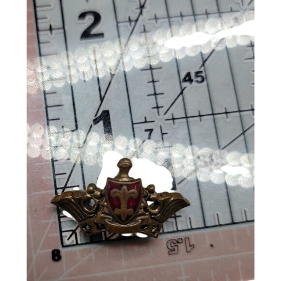 Vintage Fraternal Lapel Pin Red Enamel Shield Fleur-de-Lis Wings & Stars Badge - Picture 4 of 9